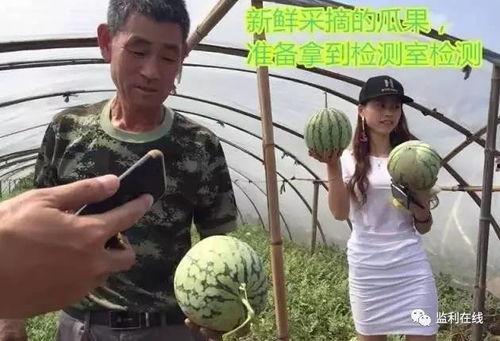 瓜农吃瓜群众正在直播,吃瓜群众热情互动，欢乐满满