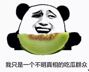 omg吃瓜,OMG吃瓜背后的真相与内幕