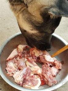 被割肉吃的瓜,揭秘被割肉吃的恐怖真相