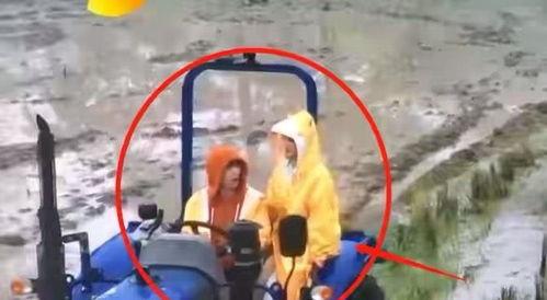 吃瓜拖拉机,揭秘农村生活的趣味与智慧