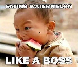 吃大瓜增肥吗,营养与热量平衡的探讨