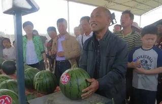 湖州吃瓜群众,揭秘当地美食文化趣闻